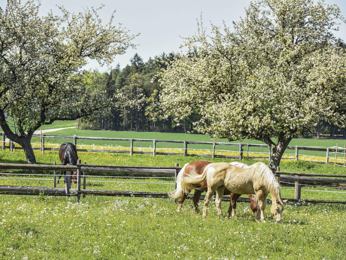 Ferienwohnung Im Weiler Winterlingen Esterno foto